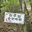 건천2 Daum카페