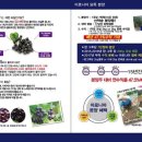 청송하늘농원