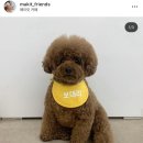 메이킷카페 이미지