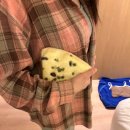 25. 4월 2주 제대로 논 일상
