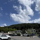 행복편의점휴게음식점 | 가평 애견펜션 강아지랑 아기랑 [모모애견 풀빌라] 애개육아 방문 후기