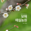 땅끝매실농장