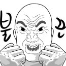양주수출딸기