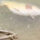 청기와낚시점