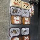 돈스간스 이미지