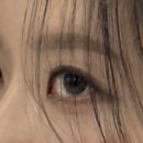 하파크리스틴 강남역점 | 웨딩촬영 준비,, 하다하다 눈동자 사이즈까지 재러간 후기 (+웨촬 눈 사진有)