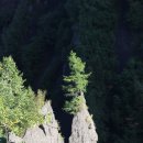 (주)천지항공여행사 이미지