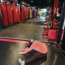 익사이팅 짐 이미지