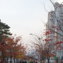 다리안민박 네이버블로그