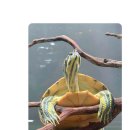 새신한목장 이미지