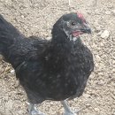 청계3로 이미지