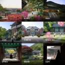 장군PC | 네이버 국내 여행 인플루언서 선정 후기 2025년 9월 준비와 과정