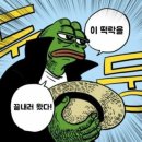 오늘도 주식수익~ 코스모화학 +20% 수익후기!