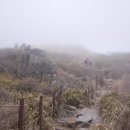 중머리재 이미지