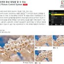 니콘 D800E 후속 D810 출시예정.. 이미지