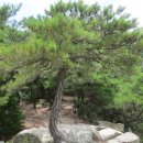 일천상사