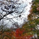 두류3동 이미지