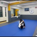 아트 주짓수 레슬링 | 목동주짓수 입문 염창역 아트주짓수 강서 다녀온 리얼 후기