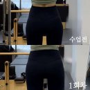엑스솔류션 | 필라테스 리베필라테스 통영 광도면 가격,후기,추천,이벤트