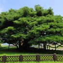 남해-296 이미지