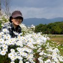 상림화원 이미지
