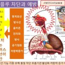 플루코 이미지