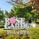 조선대 장미축제 장미원 방문 후기, 주말에 나들이 가기 좋은 곳