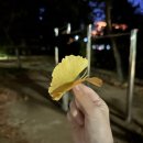 빽다방 송도캠퍼스타운점 이미지