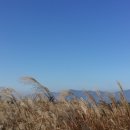 강우목장 네이버블로그