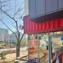 공차서귀포 | 제주카페 공차 서귀포신시가지점 내돈내산후기