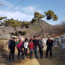 장산시장 이미지