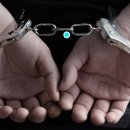 용인초등학교 이미지