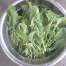 심가네 농장 이미지