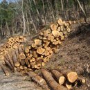 금곡마을 이미지