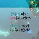 세화여행사 이미지