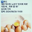 #️⃣계란 먹으면, 여성 노년기 인지력 저하' 걱정 뚝...❓하루 몇개 이미지