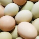 강원도 청계 농장 이미지