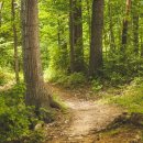 아주편한병원 이미지