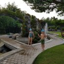 강릉어린이수영교실 이미지