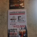 아이들 갈만한 곳 남이섬 바로 앞 뷰 좋은 가평 빠지 나루 붐붐 수상레저 가평역 무료셔틀버스 픽업 가능