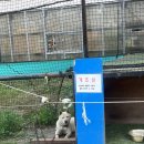 남양주 계곡식당 야유회 장소 추천 별내 서궁관 내돈내산(닭볶음탕 싹싹김치)