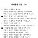 2024 천주교제주교구 성유축성미사 이미지