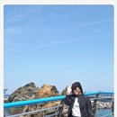 동영사 이미지