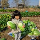 불암농장 이미지