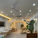 옐로우연화 이미지