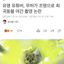 유명 유튜버, 무허가 조명으로 희귀동물 야간 촬영 논란 이미지