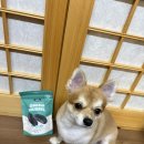 초록푸드 | 트러스티푸드 동결건조 가니쉬 초록잎홍합 내돈내산후기