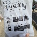 &#34;옥천 묘목축제&#34; 방문 후기
