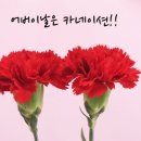 누나감자탕 이미지