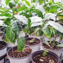 향긋농장 이미지